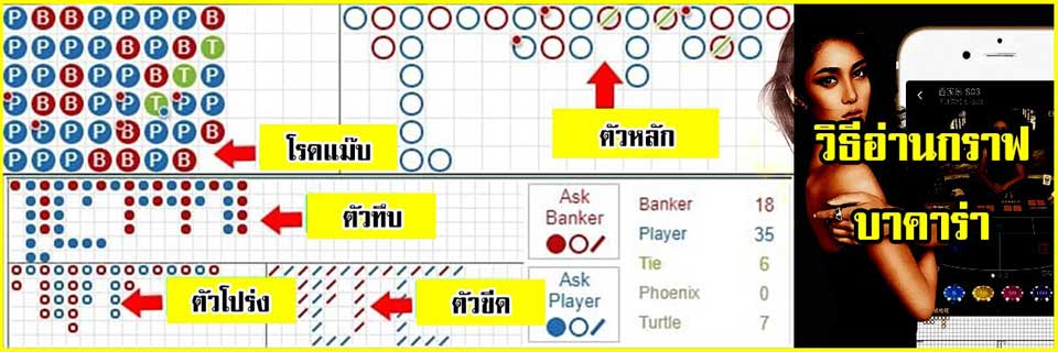 วิธีดูตารางสถิติบาคาร่า - betflixpro88