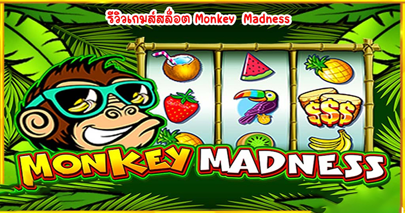 Monkey Madness