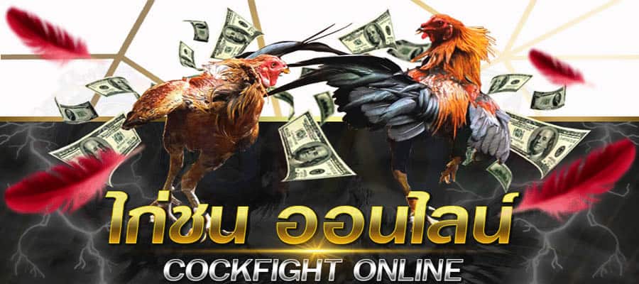 เกมไก่ชน - "cockfighting game"