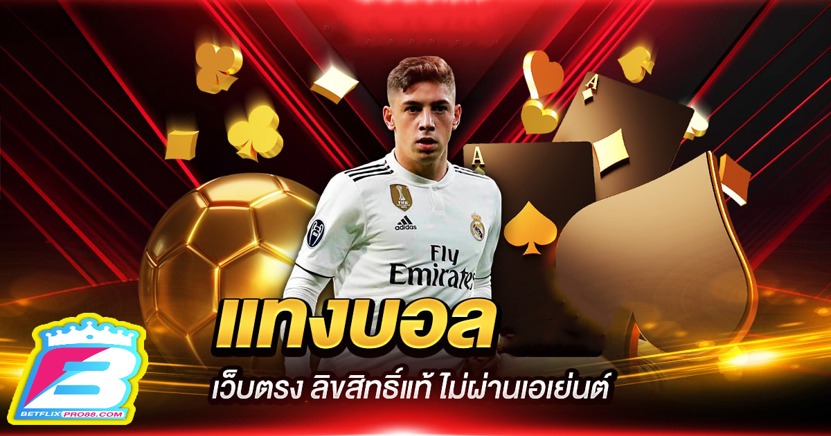 เว็บพนัน ufa-"ufa gambling website"