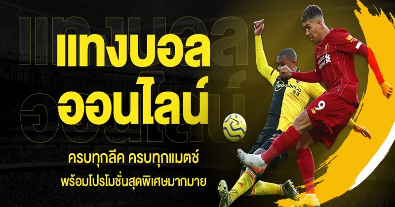 เว็บพนัน ufa-"ufa gambling website"