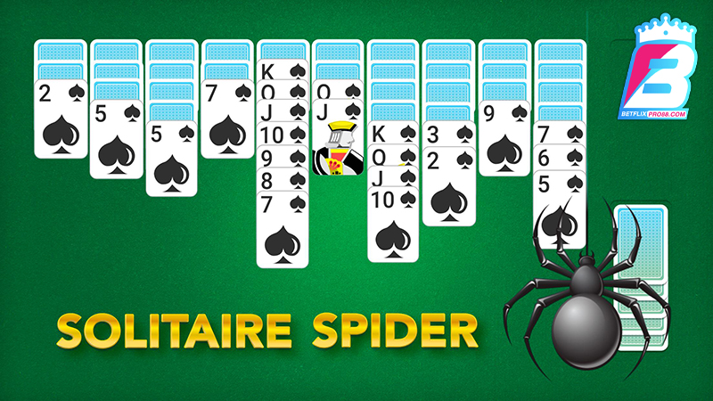 ไพ่แมงมุม-"spider cards"