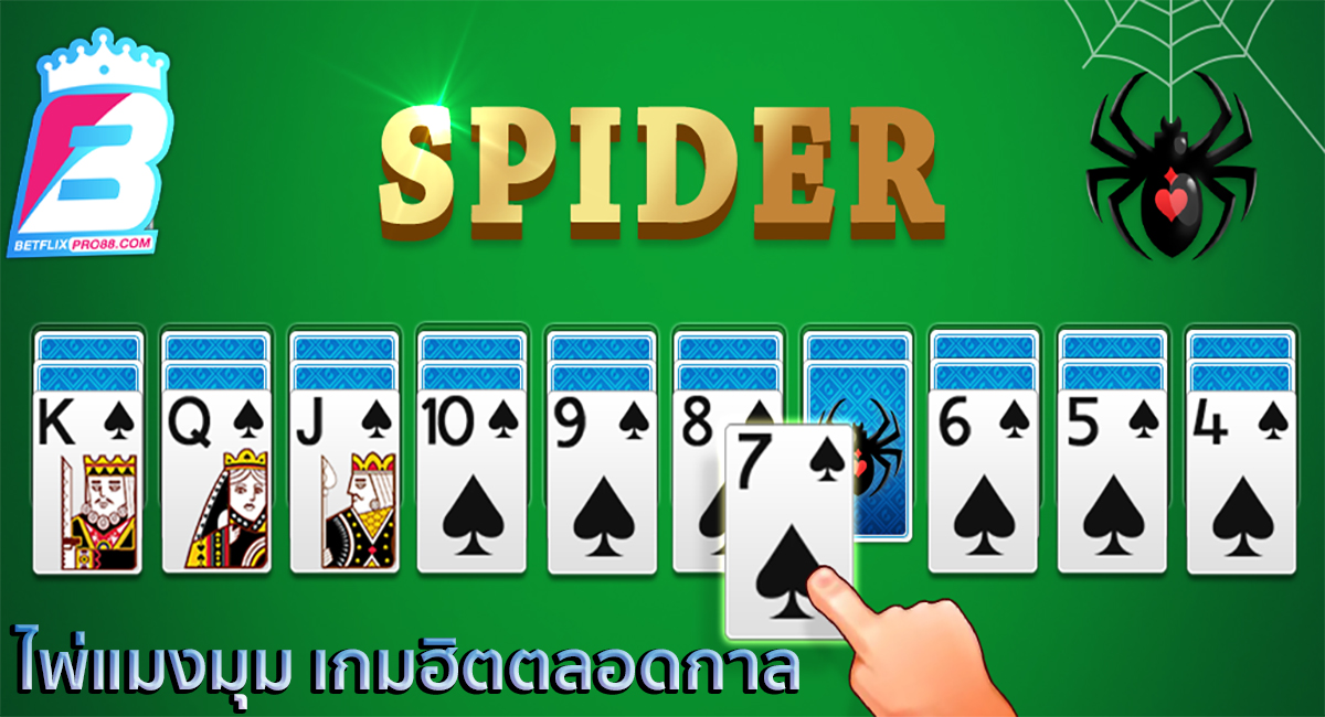 ไพ่แมงมุม-"spider cards"